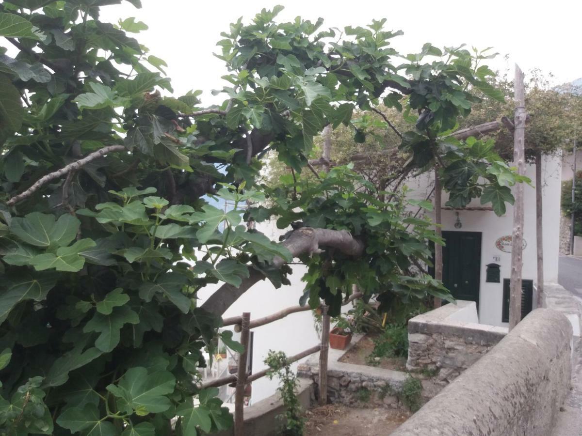 Casa Rosetta Villa Praiano Exterior foto